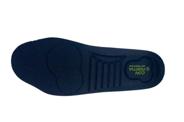 Plantilla Posster Leopard Arido Extrem